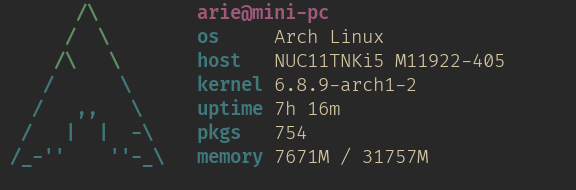 Arch Linux on Intel NUC NUC11TNKi5